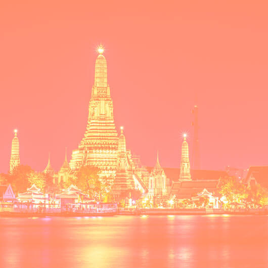 Glads Discovery riisinuudlid «Tom&nbsp;Yam» kastmega