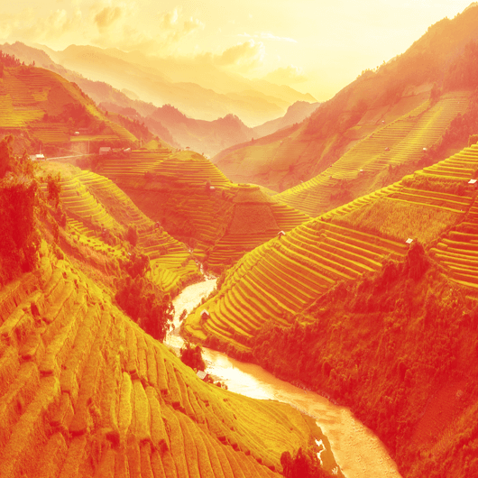 Glads WOK nuudlid «Mie Goreng» maitsestatud kastmega